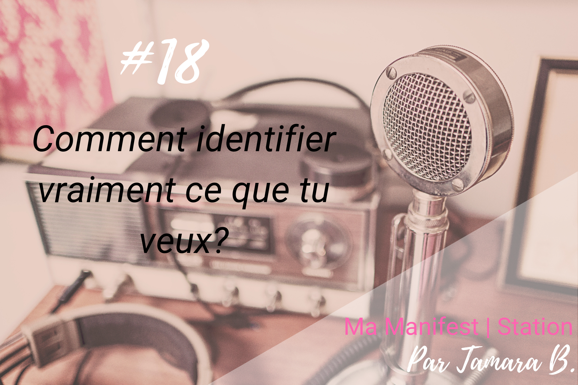 Épisode #18: Comment identifier vraiment ce que tu veux?