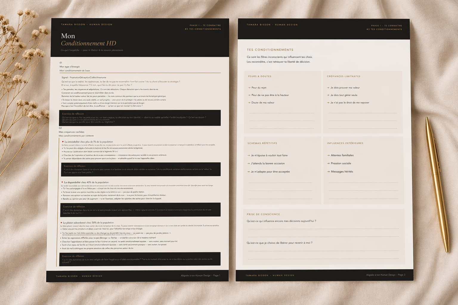 conditionnement Human Design formation francophone